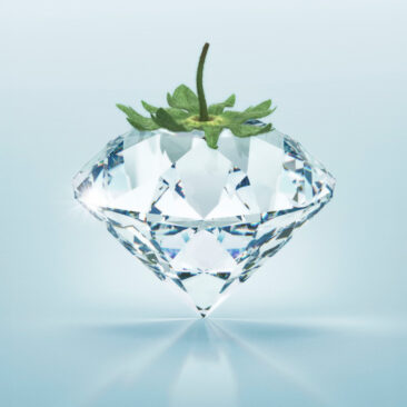 Un diamond en verre avec une calice de fraise en dessus sur un fond bleu claire. Visuel pour la campagne BGL BNP Paribas